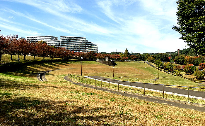 若葉台公園