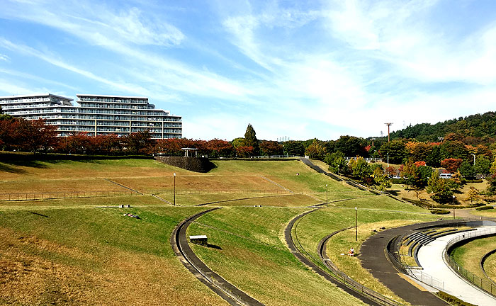 若葉台公園