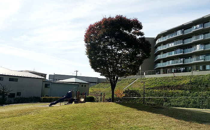 若葉台こぶし公園