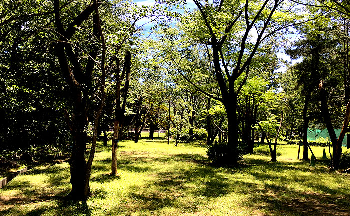 諏訪北公園