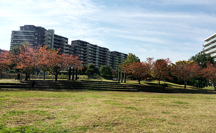 若葉台公園