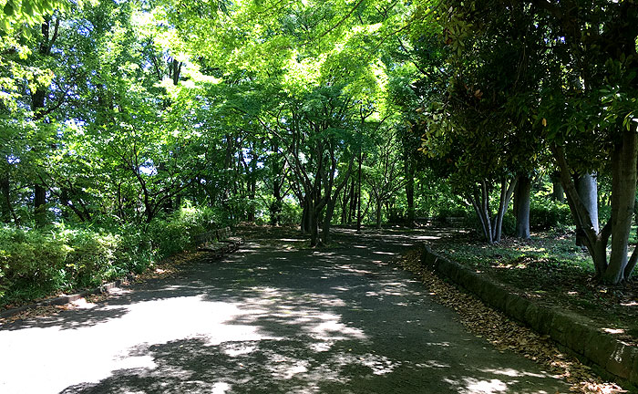 諏訪北公園