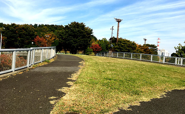 若葉台公園