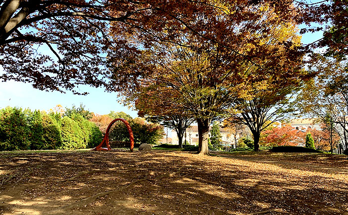 松木公園