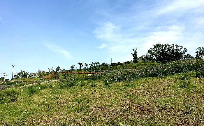 堀之内沖ノ谷戸公園