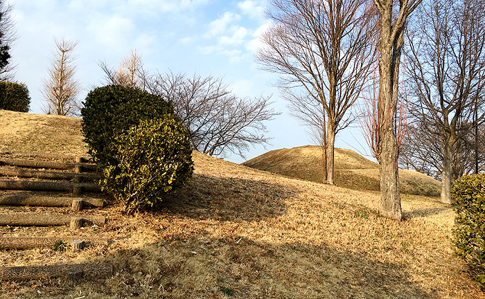 堀之内芝原公園