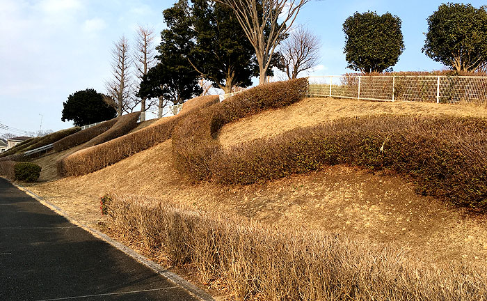 堀之内芝原公園