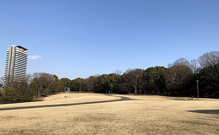 多摩中央公園