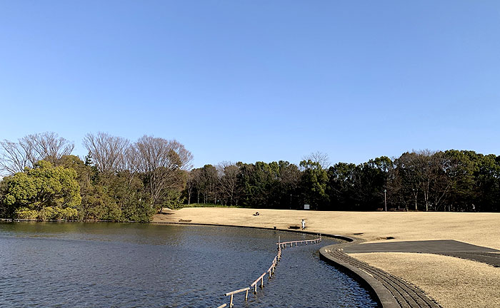 多摩中央公園