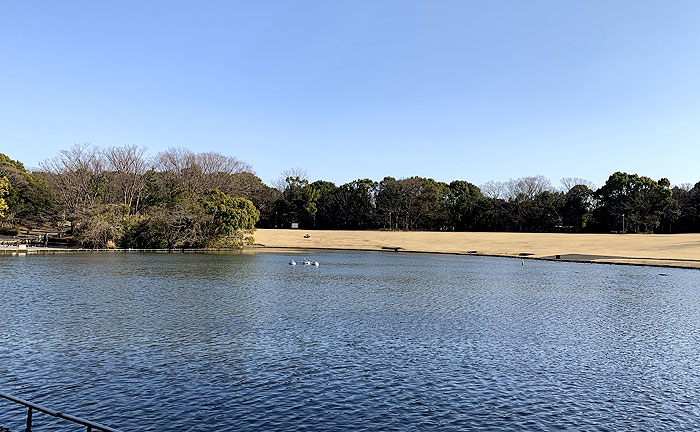 多摩中央公園