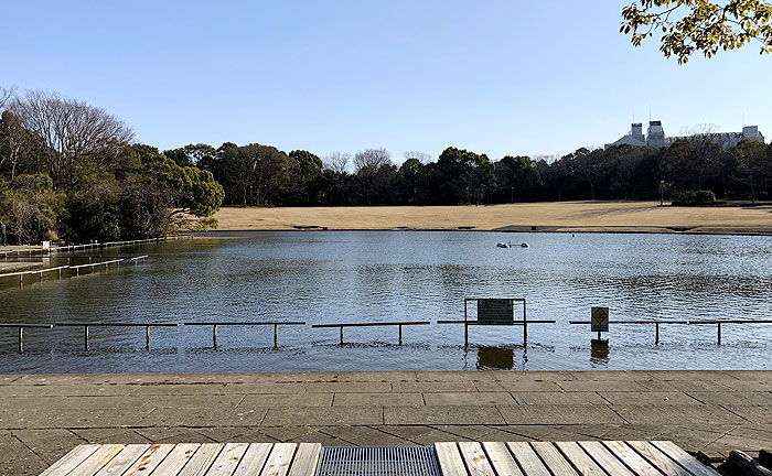 多摩中央公園