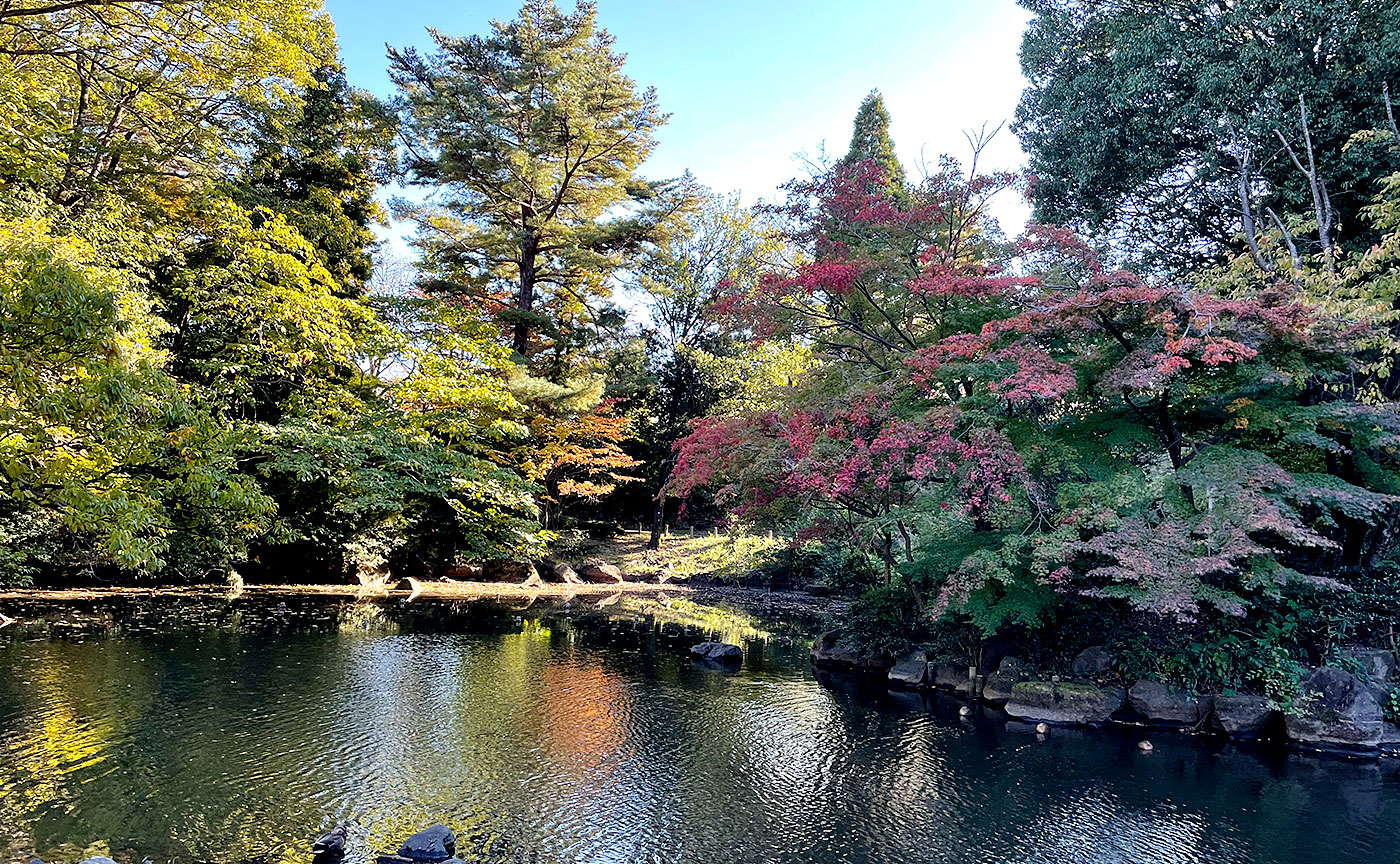 東中野公園