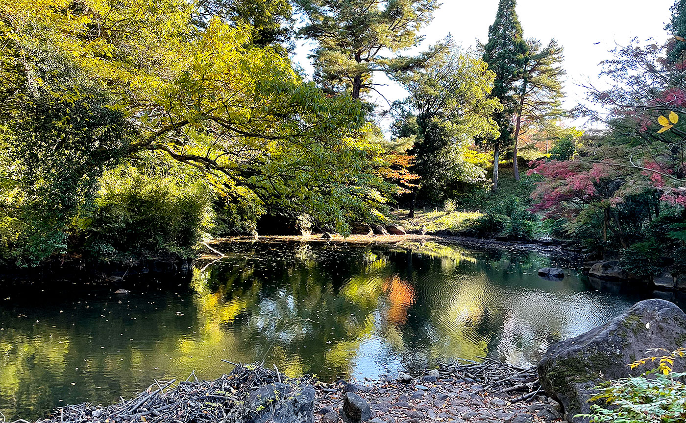 東中野公園