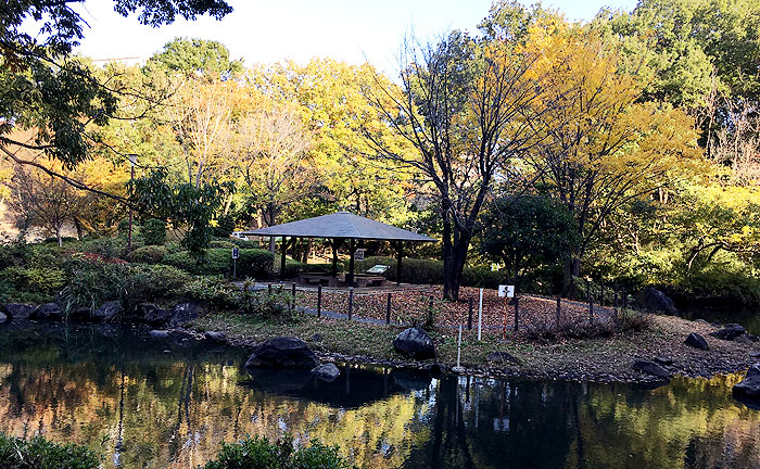 東中野公園