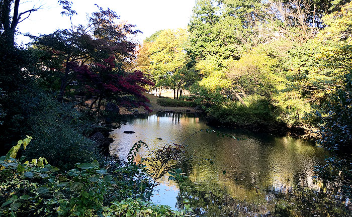 東中野公園