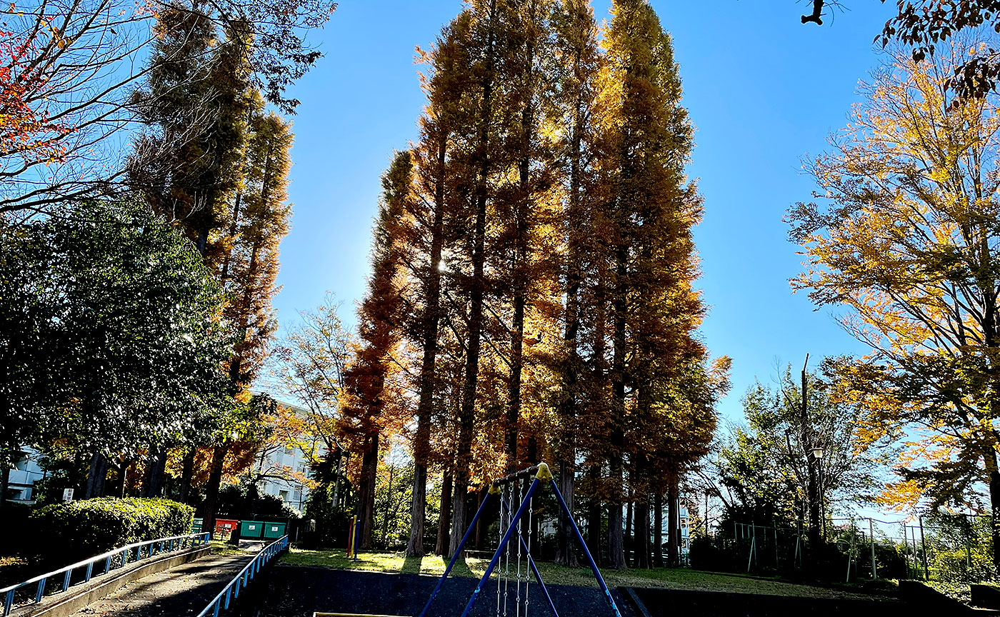 いせまいり公園