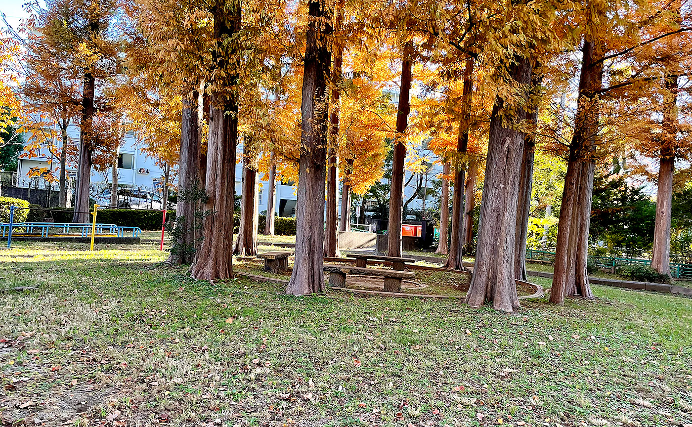 いせまいり公園