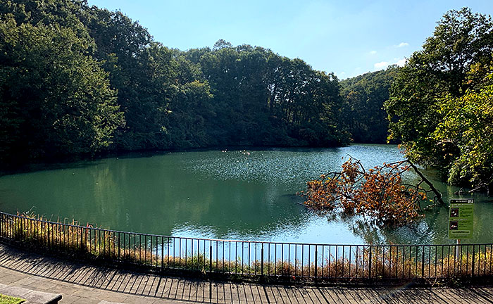 長池公園