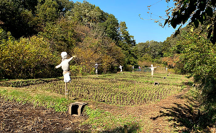 長池公園