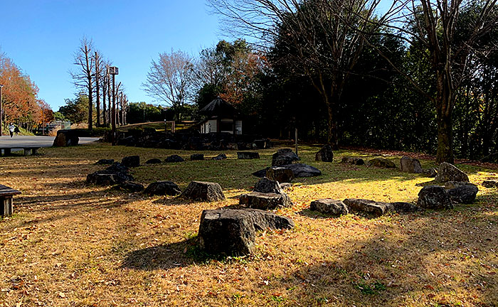 柳沢の池公園