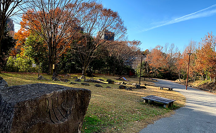 柳沢の池公園