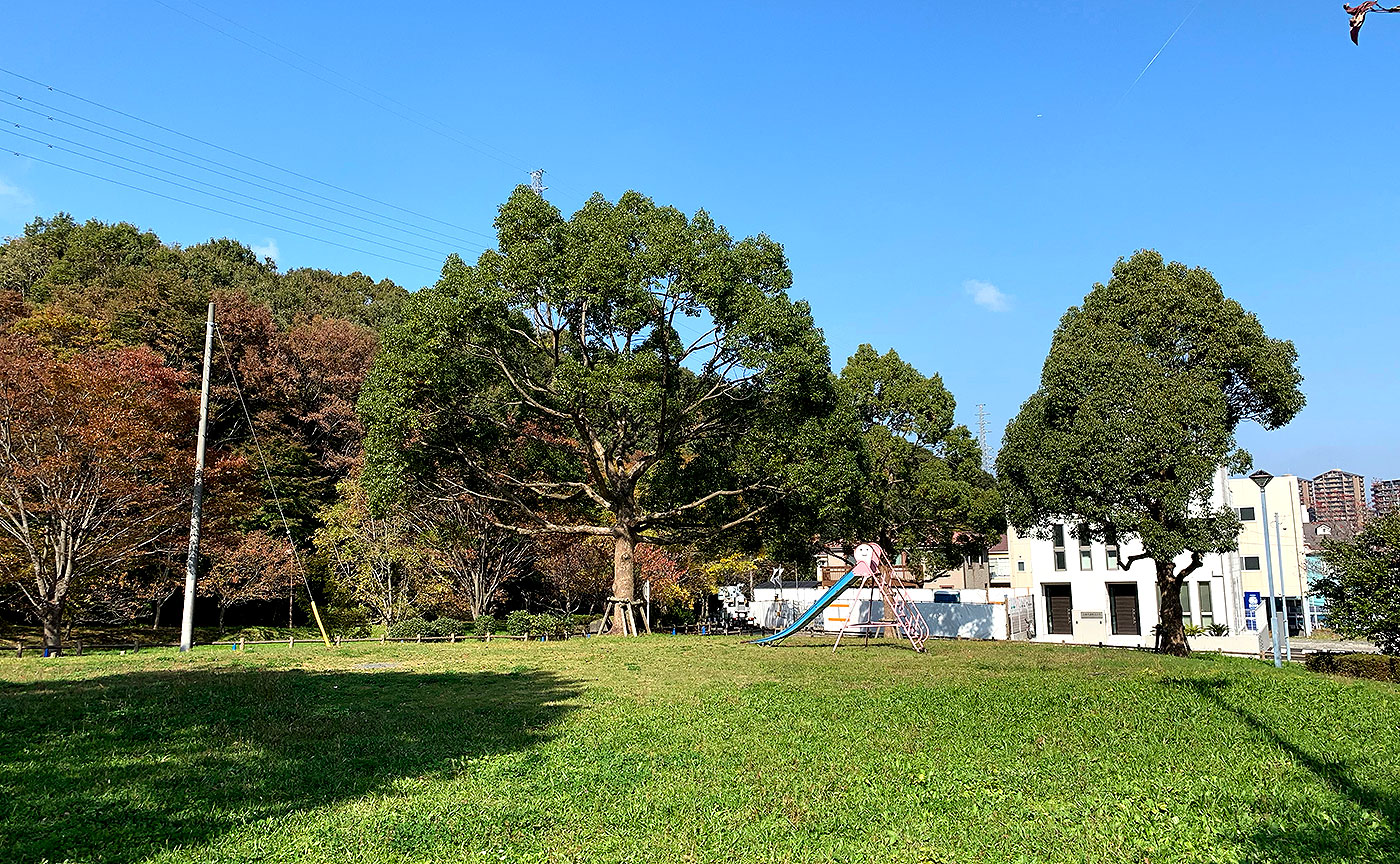 南大沢長谷戸公園