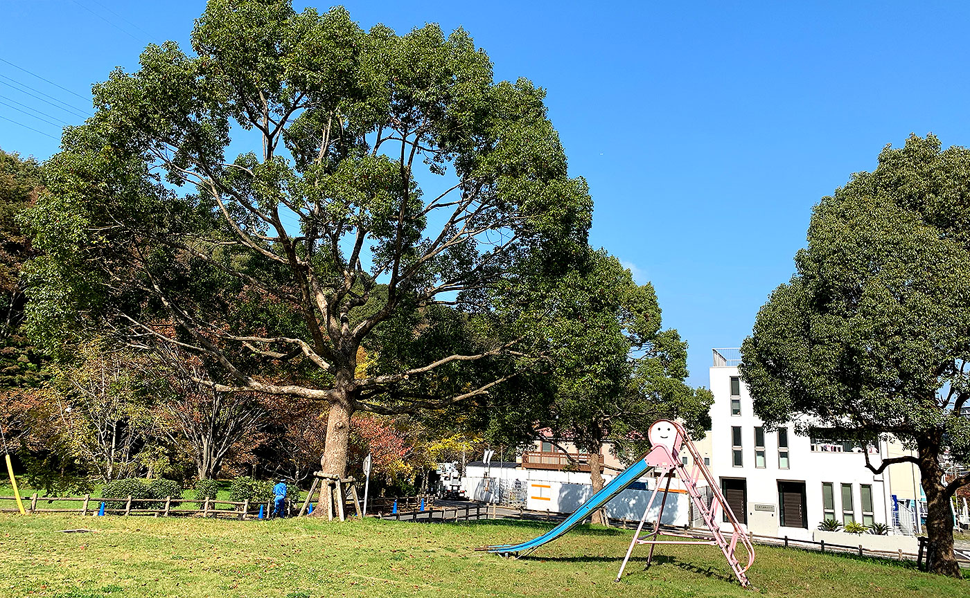 南大沢長谷戸公園