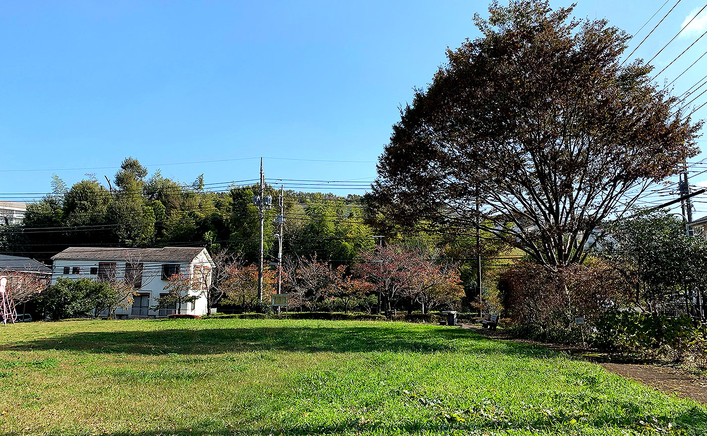 南大沢長谷戸公園