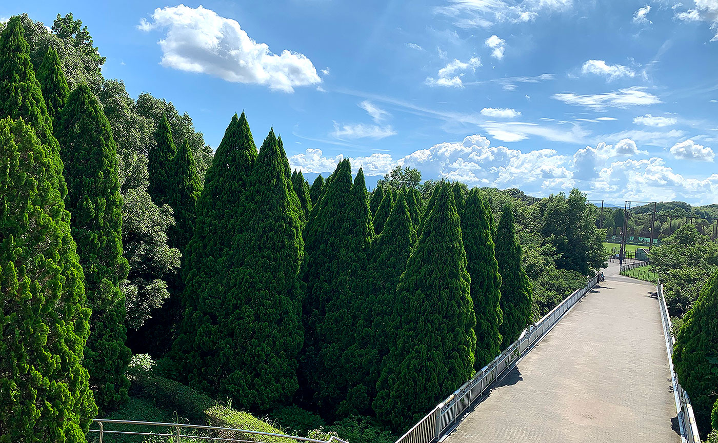 上柚木公園