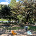 公園探訪