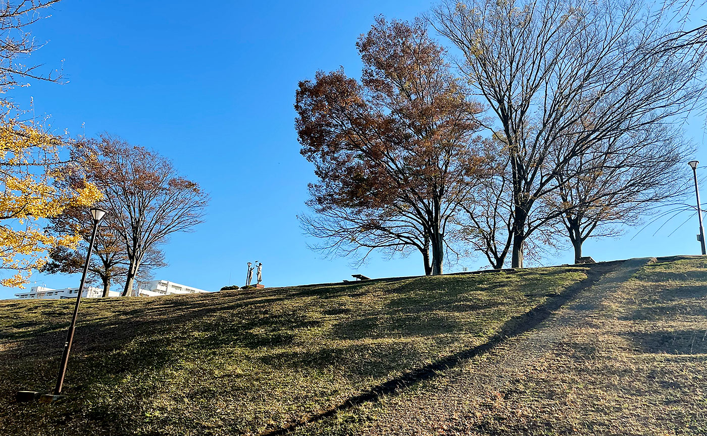 富士公園