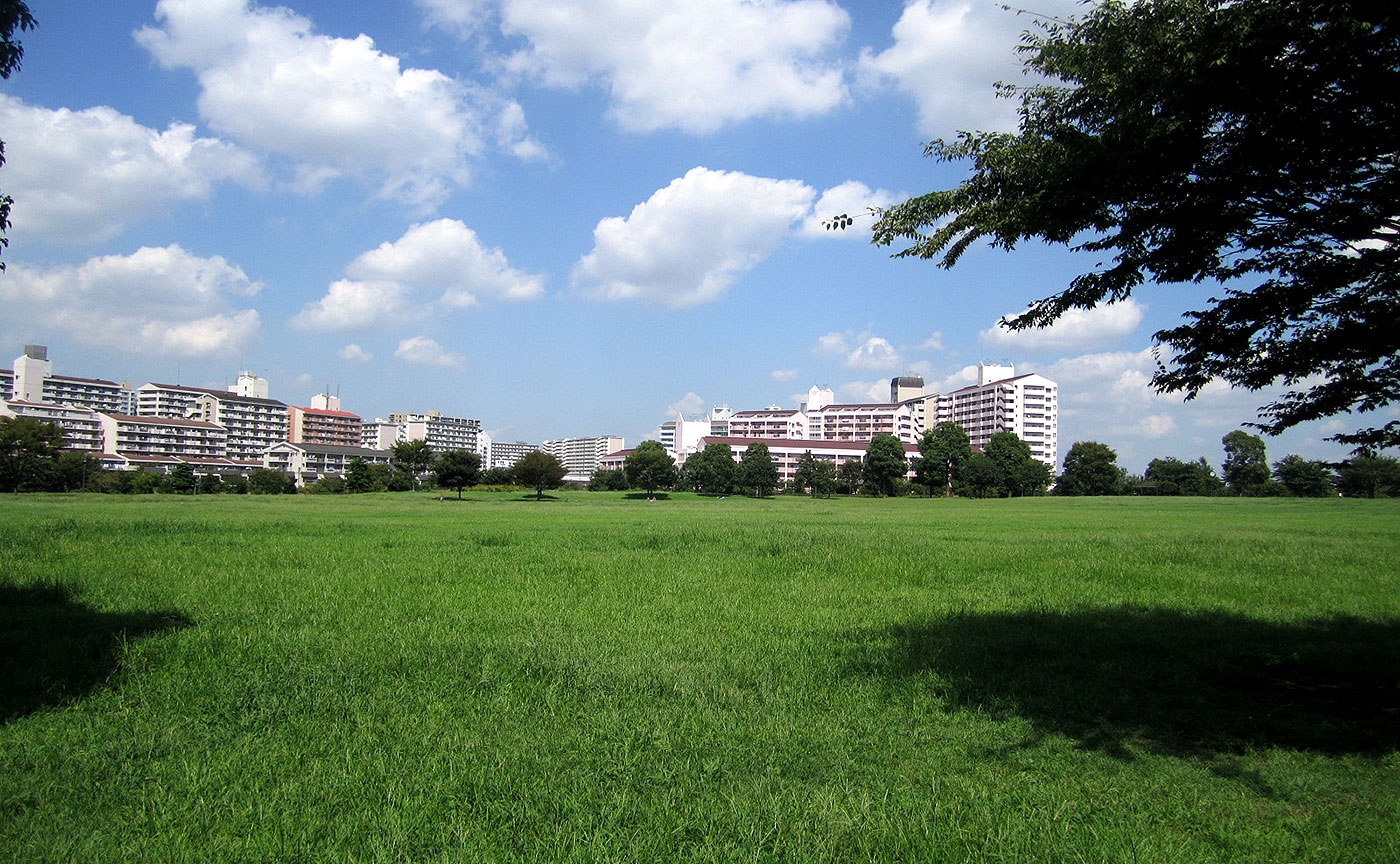 大島小松川公園