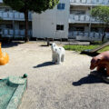 公園探訪
