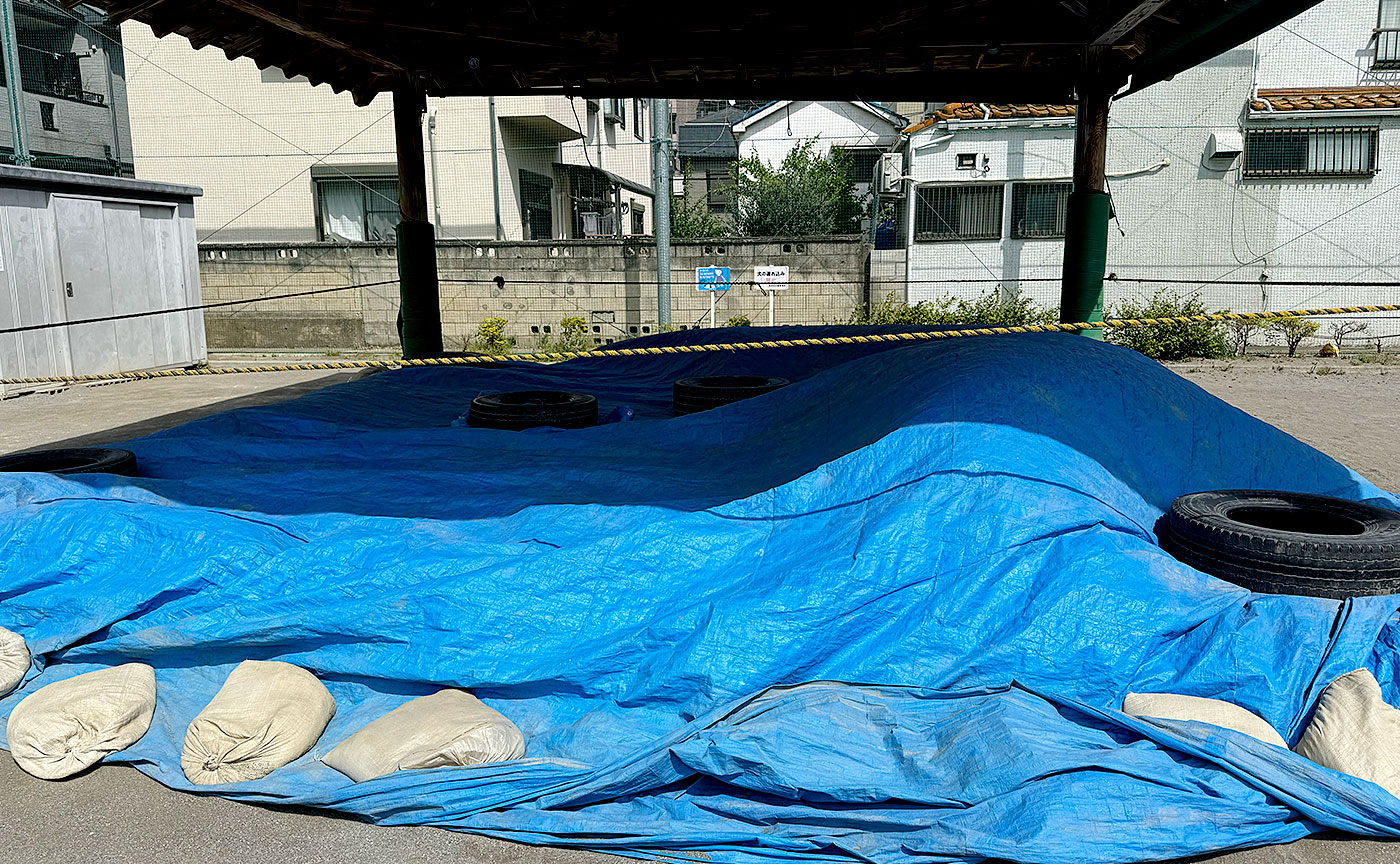 白鳥公園
