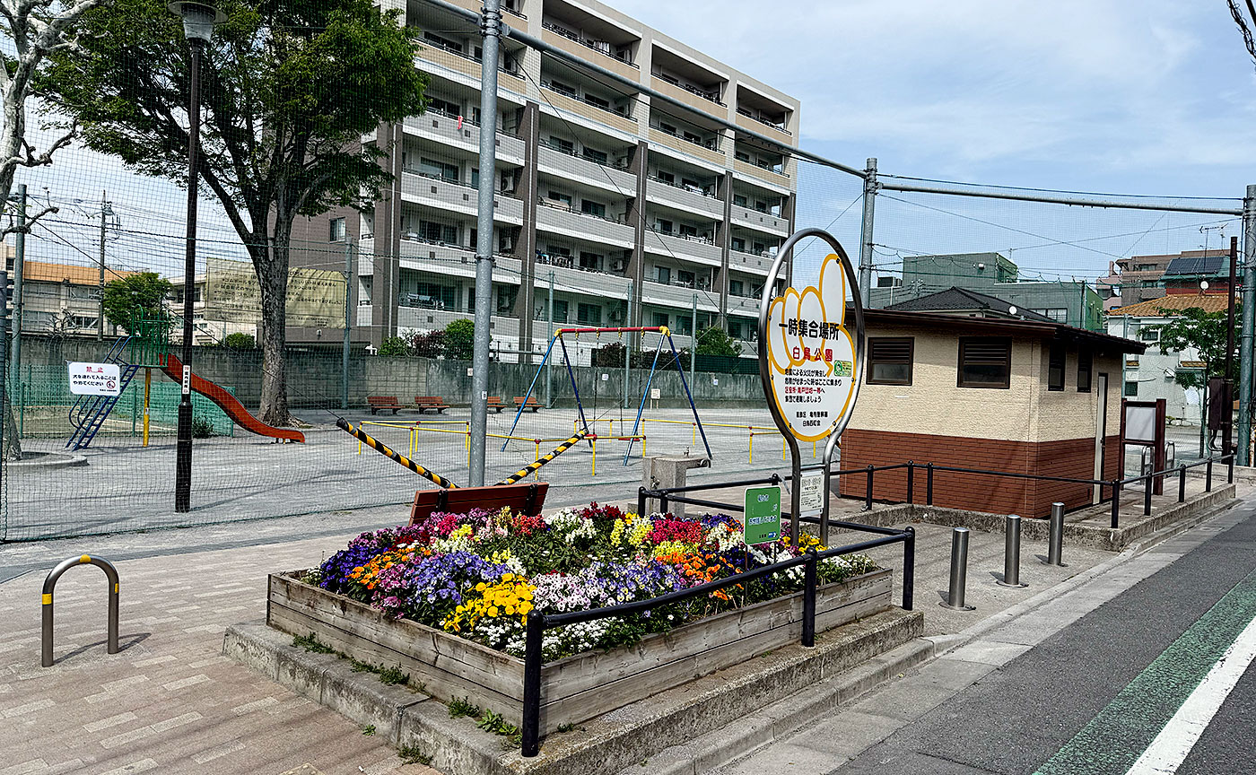 白鳥公園