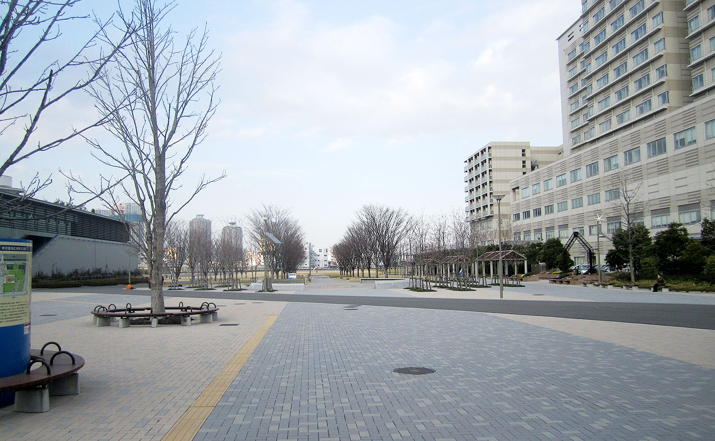 東京臨海広域防災公園