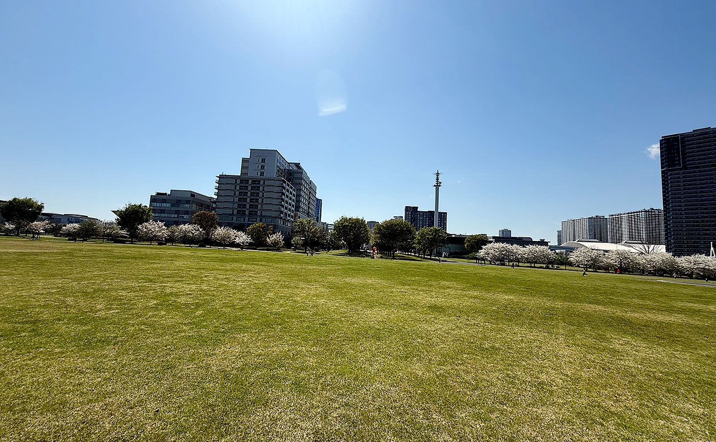 東京臨海広域防災公園