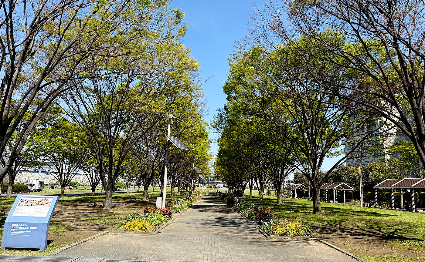 東京臨海広域防災公園