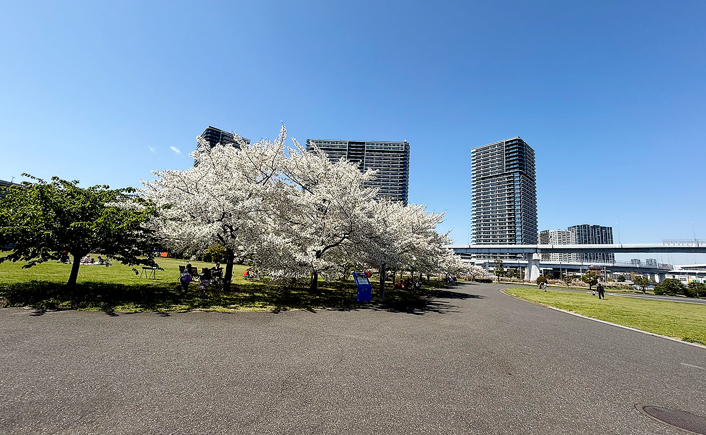 東京臨海広域防災公園