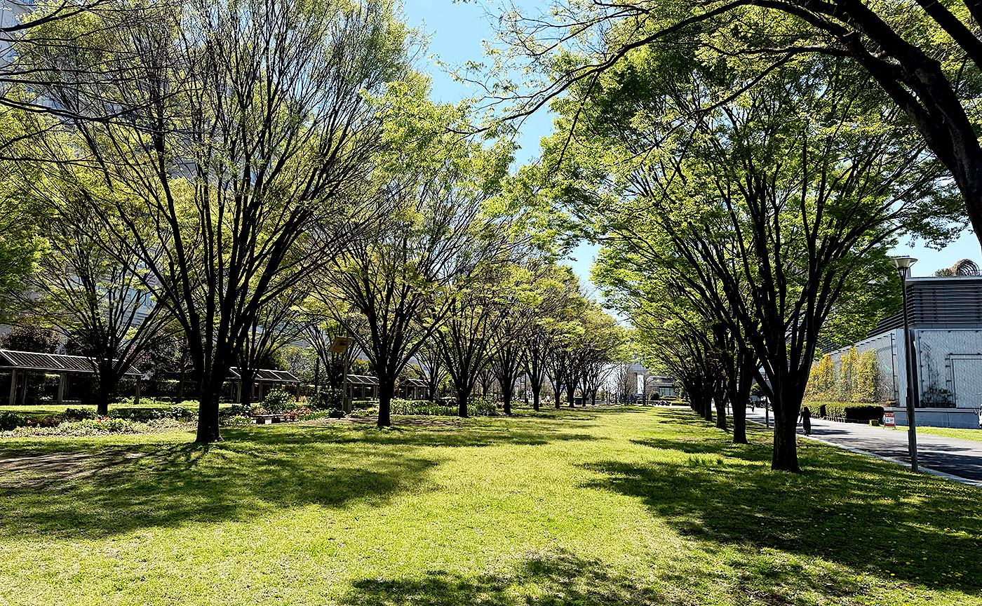東京臨海広域防災公園
