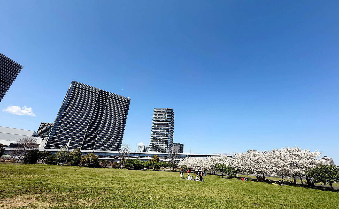 東京臨海広域防災公園