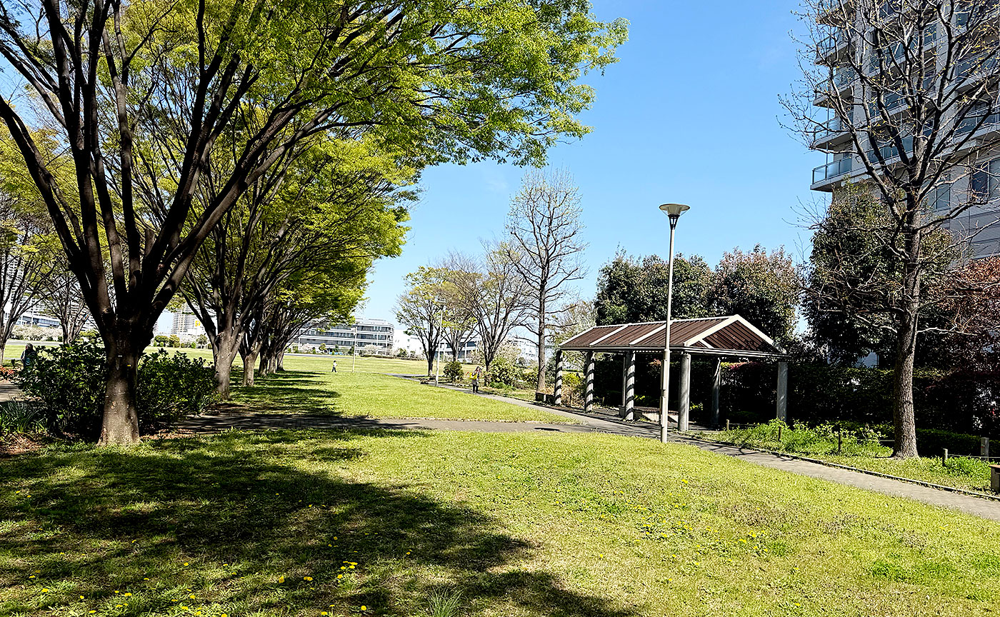 東京臨海広域防災公園
