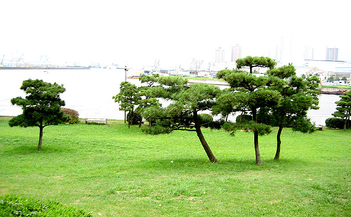 新木場公園