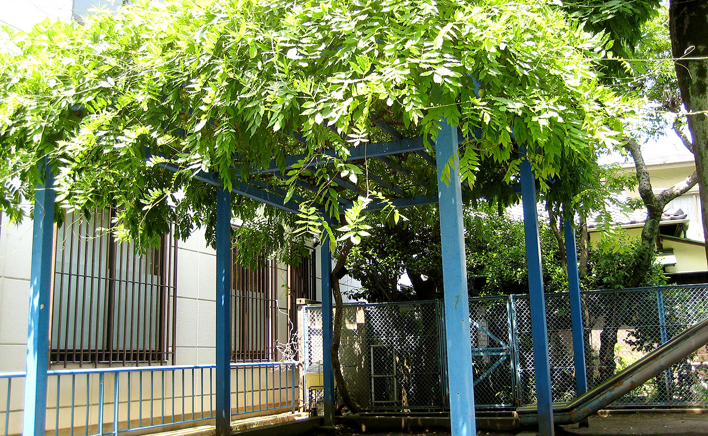 千駄ヶ谷児童遊園地