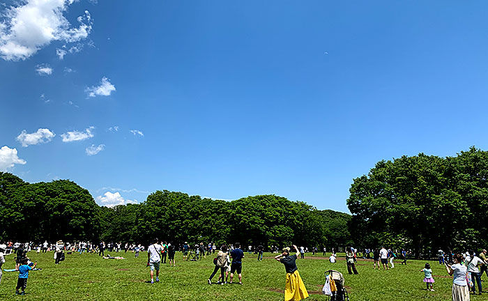 代々木公園にブルーインパルス