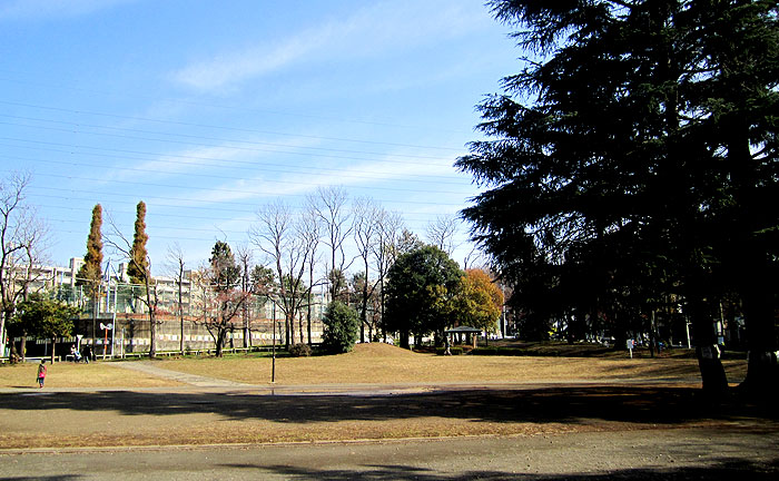 美しが丘公園