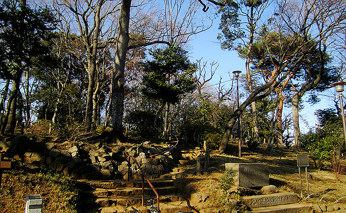 世田谷城址公園