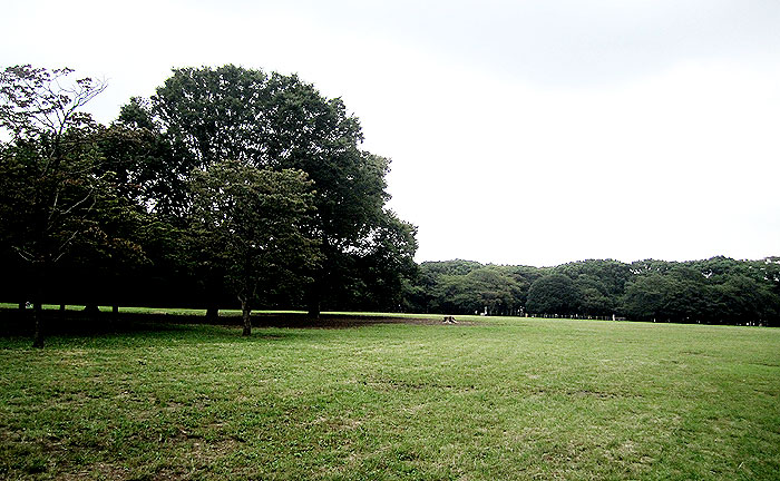 代々木公園