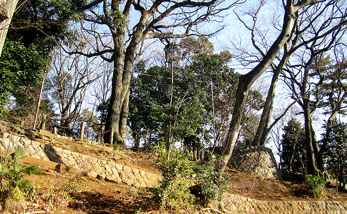 世田谷城址公園