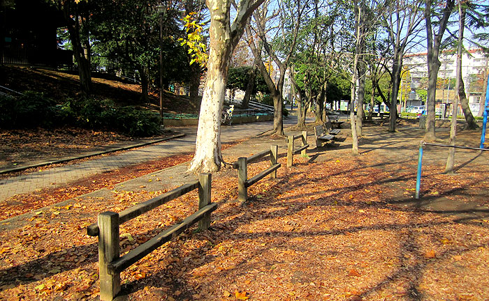 美しが丘公園